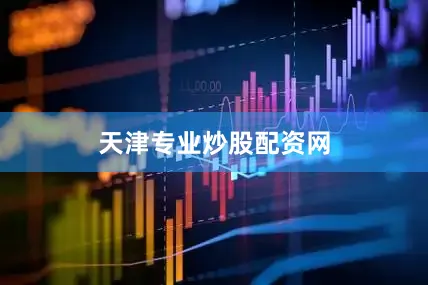 天津专业炒股配资网
