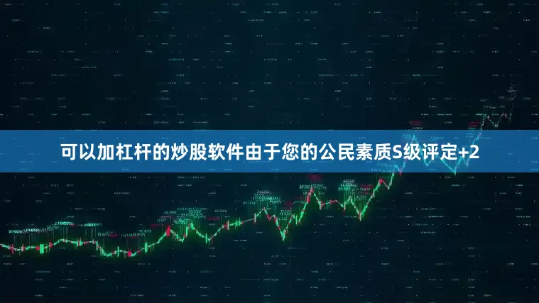 可以加杠杆的炒股软件由于您的公民素质S级评定+2