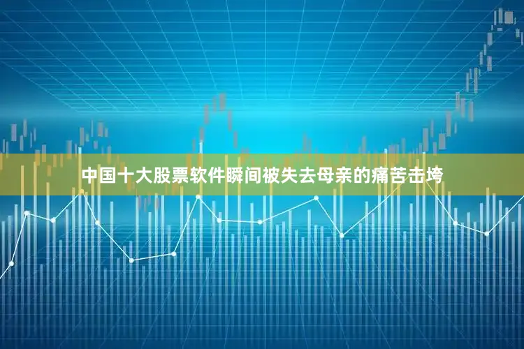 中国十大股票软件瞬间被失去母亲的痛苦击垮