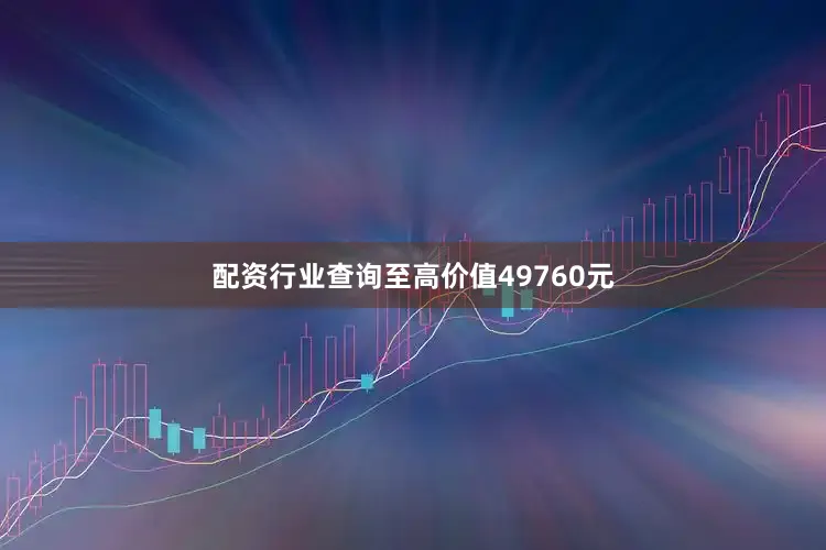 配资行业查询至高价值49760元